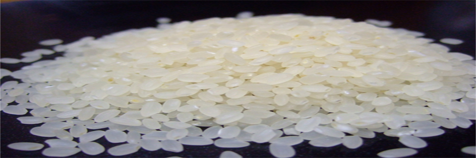 Sack Reis umgekippt - Mensa bietet nur noch Nudeln.